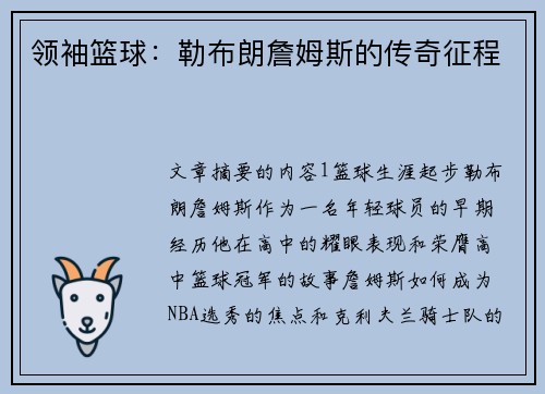 领袖篮球：勒布朗詹姆斯的传奇征程
