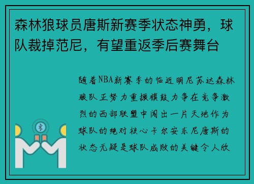 森林狼球员唐斯新赛季状态神勇，球队裁掉范尼，有望重返季后赛舞台