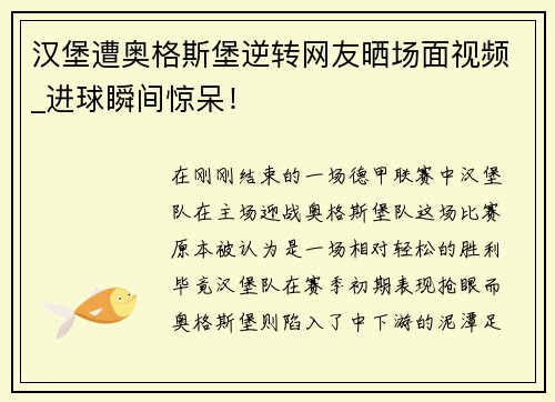 汉堡遭奥格斯堡逆转网友晒场面视频_进球瞬间惊呆！