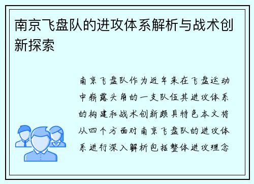 南京飞盘队的进攻体系解析与战术创新探索