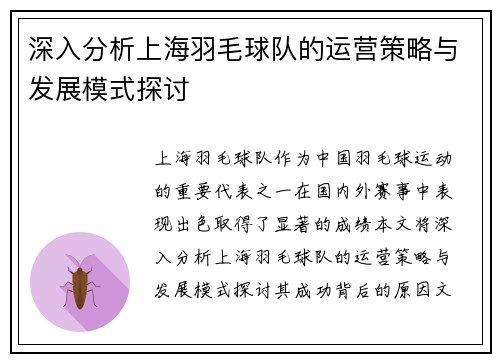 深入分析上海羽毛球队的运营策略与发展模式探讨